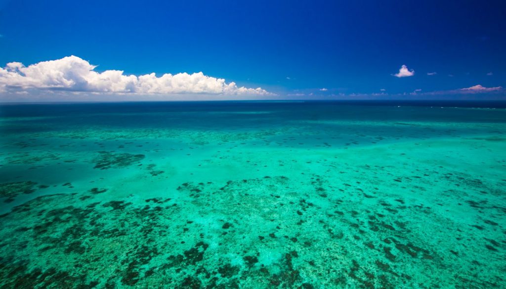 Dream Job - Island caretaker on Great Barrier Reef Australia