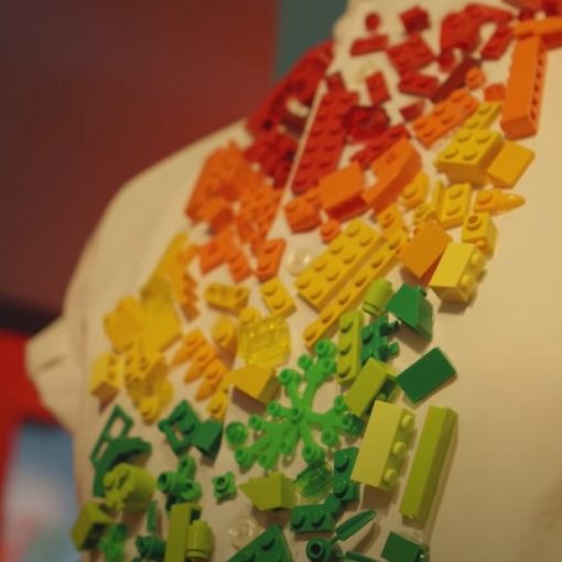 Dream Job - Master Model Builder Lego