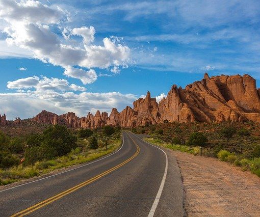 dream job - chief exploration officer michelob ultra usa sml