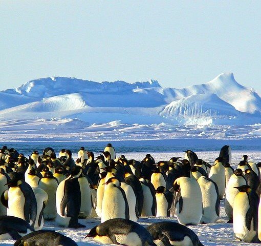 Dream Job British Antarctic Survey sml