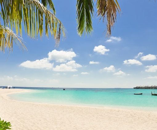 Dream Job Vacancy Barefoot Bookseller Maldives 2022 sml